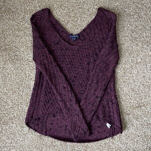 Purple American Eagle V-Neck Sweater
